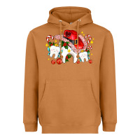 Meerkat dental Christmas teeth and candies Heavyweight Hoodie - AdoDesignShop