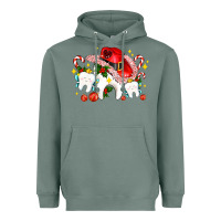 Sage dental Christmas teeth and candies Heavyweight Hoodie - AdoDesignShop