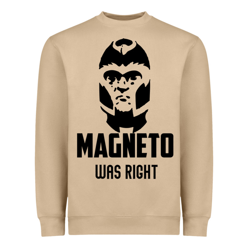 Magneto Was Right Heavyweight Sweatshirt by PixelWave | Teevron