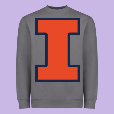 Illinois Fighting Illini Heavyweight Sweatshirt Designed By Pixelwave