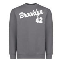 Storm brooklyn 42 Heavyweight Sweatshirt - PixelWave