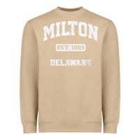 Mushroom milton delaware de vintage state athletic style t shirt Heavyweight Sweatshirt - InspiraDesign