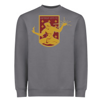 Storm usa,  detroit city fc Heavyweight Sweatshirt - InspiraDesign