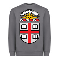 Storm brown university Heavyweight Sweatshirt - StudioElite