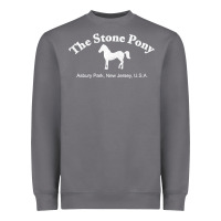 Storm The Stone Pony Heavyweight Sweatshirt - StudioElite