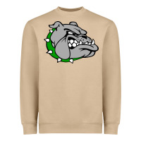 Mushroom ashville high school, ashville bulldogs Heavyweight Sweatshirt - PixelFlow