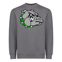 Storm ashville high school, ashville bulldogs Heavyweight Sweatshirt - PixelFlow