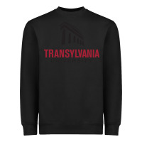 Black transylvania university Heavyweight Sweatshirt - PixelFlow