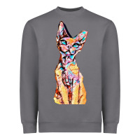 Storm Colorful Cat Heavyweight Sweatshirt - PixelFlow