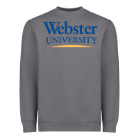 Storm webster university Heavyweight Sweatshirt - SnappyArt
