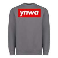 Storm ynwa Heavyweight Sweatshirt - SnappyArt