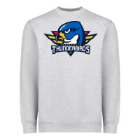 Springfield Thunderbirds Heavyweight Sweatshirt | Teevron