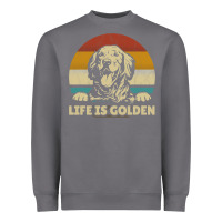 Storm Golden Retriever Dog Life is golden retro vintage Heavyweight Sweatshirt - ArtMosaic
