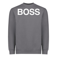 Storm boss premium Heavyweight Sweatshirt - ArtMosaic