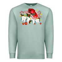 Seafoam dental Christmas teeth and candies Premium Sweatshirt - AdoDesignShop