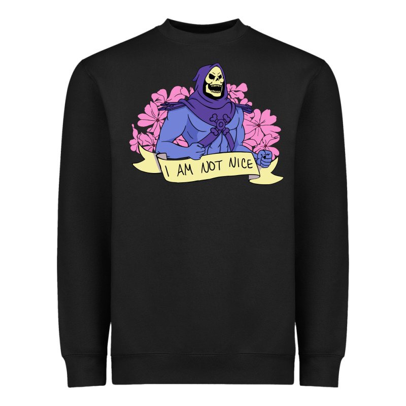 Vintage Skeletor ı Am Not Nice Heavyweight Sweatshirt by artisFamous | Teevron