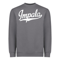 Storm impala Heavyweight Sweatshirt - artisFamous