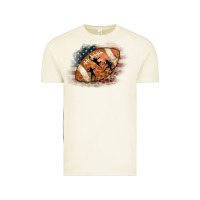 Vintage Arctic American Football Flag Players Vintage Tee - CowCowDesign