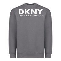 Storm dknys Heavyweight Sweatshirt - artisFamous