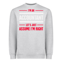 Heather Grey funny accounting design   gift for accountants Heavyweight Sweatshirt - artisFamous