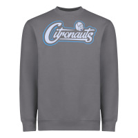 Storm citronauts Heavyweight Sweatshirt - artisFamous