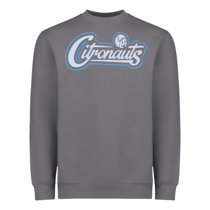 Citronauts Heavyweight Sweatshirt by artisFamous | Teevron