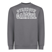 Storm strength cartel Heavyweight Sweatshirt - artisFamous