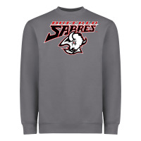 Storm old sabers Heavyweight Sweatshirt - artisFamous