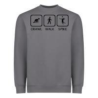 Storm crawl walk spike volleyball Heavyweight Sweatshirt - artisFamous