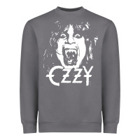 Crazy Train Vintage Rock Heavyweight Sweatshirt | Teevron