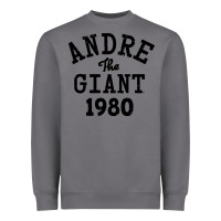 Storm andre the giant 1980 Heavyweight Sweatshirt - artisFamous
