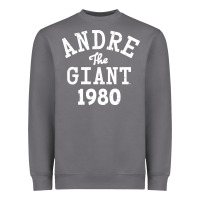Storm andre the giant 1980 Heavyweight Sweatshirt - artisFamous