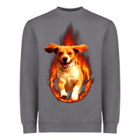 Storm Dog In Fire Heavyweight Sweatshirt - artisFamous