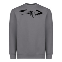 Storm staind new Heavyweight Sweatshirt - artisFamous