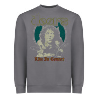 Storm the doors live in concert Heavyweight Sweatshirt - artisFamous