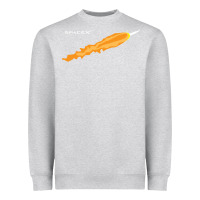 Heather Grey SpaceX Rocket Heavyweight Sweatshirt - artisFamous