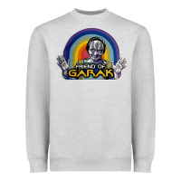 Friend Of Garak Heavyweight Sweatshirt | Teevron