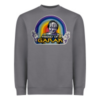 Storm friend of garak Heavyweight Sweatshirt - artisFamous