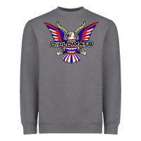 Storm diplomats music Heavyweight Sweatshirt - artisFamous