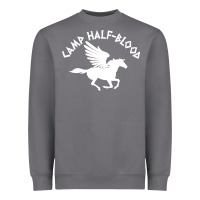 Storm camp half blood Heavyweight Sweatshirt - artisFamous