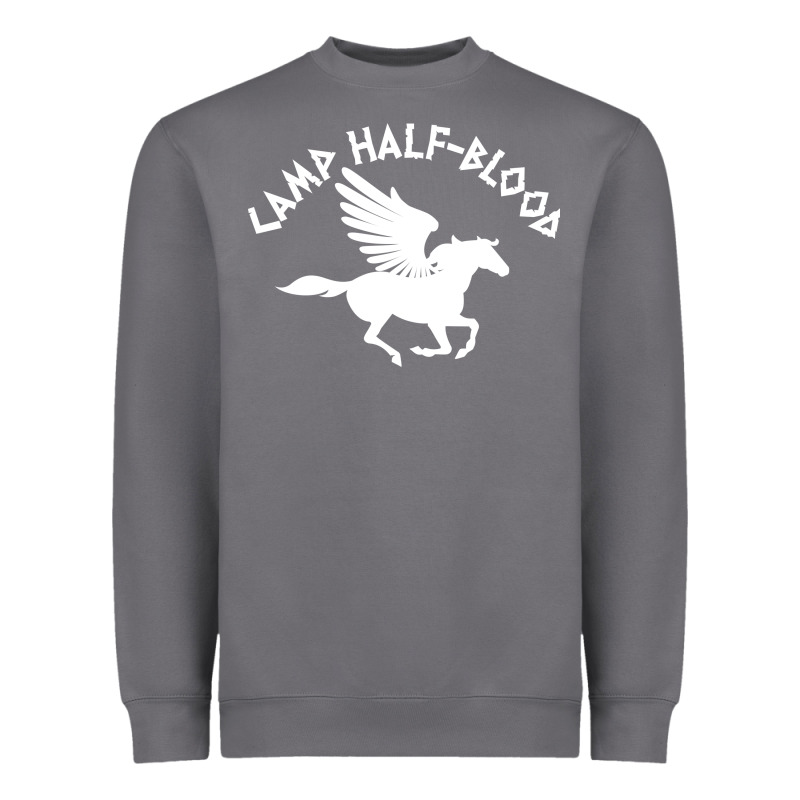 Camp Half Blood Heavyweight Sweatshirt by artisFamous | Teevron