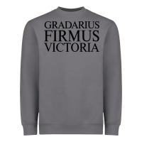 Storm gradarius firmus victoria Heavyweight Sweatshirt - artisFamous