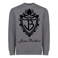 Storm jona's brothers Heavyweight Sweatshirt - artisFamous
