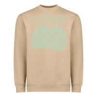Mushroom the aquabats Heavyweight Sweatshirt - artisFamous