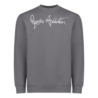 Storm janes addiction Heavyweight Sweatshirt - artisFamous