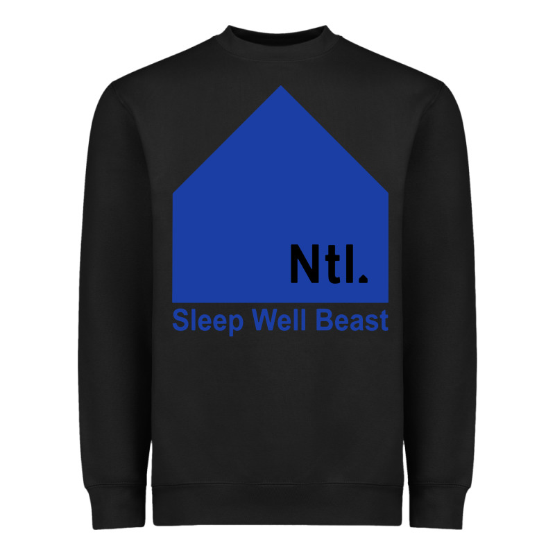 The National Party Heavyweight Sweatshirt by artisFamous | Teevron