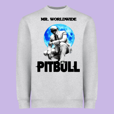 Merch Mr Worldwide Pit Bull Heavyweight Sweatshirt Designed By Artisfamous