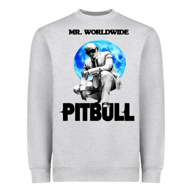 Merch Mr Worldwide Pit Bull Heavyweight Sweatshirt by artisFamous | Teevron