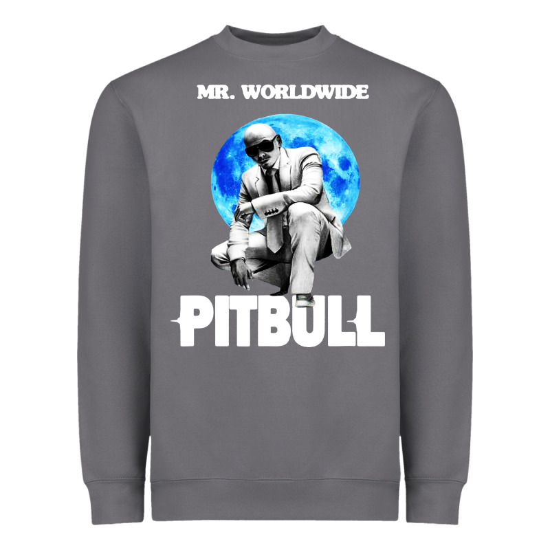 Merch Mr Worldwide Pit Bull Heavyweight Sweatshirt by artisFamous | Teevron