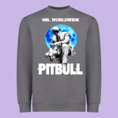 Merch Mr Worldwide Pit Bull Heavyweight Sweatshirt Designed By Artisfamous